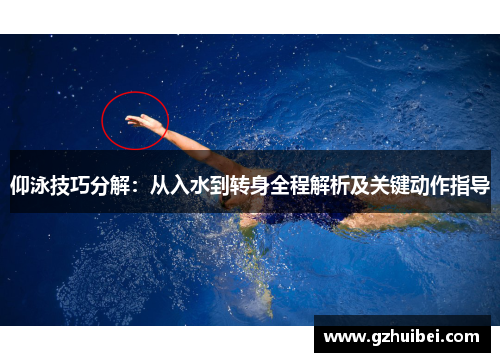 仰泳技巧分解：从入水到转身全程解析及关键动作指导