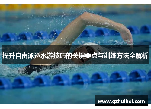 提升自由泳逆水游技巧的关键要点与训练方法全解析